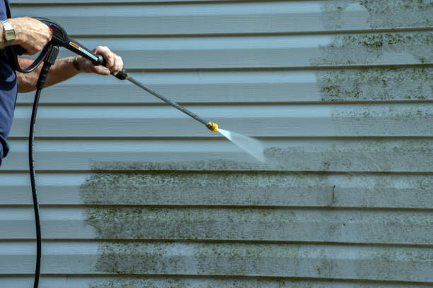 Best Affordable Pressure Washing  in Havana, IL