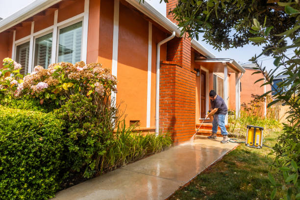 Best House Pressure Washing  in Havana, IL